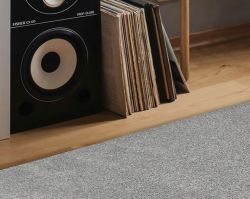 laminate wooden floor with a grey rug on top and a speaker